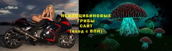 индика Верхнеуральск