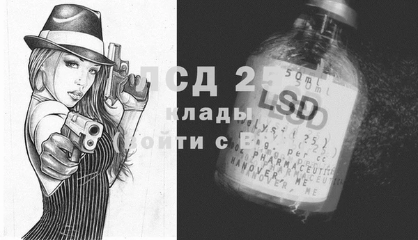 винт Верея
