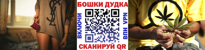 Шишки марихуана планчик  Луза 